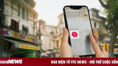 Viettelの電話番号だけでVNeID経由で社会保障費を受け取る方法