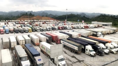 Economic breakthrough at border gates: (Part 3) Aspiration to reach far