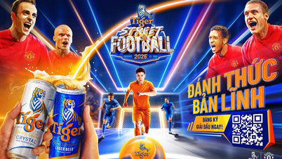 Comienza oficialmente el Tiger Street Football 2025: donde el coraje y la pasión marcan el camino