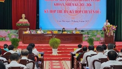 Can Tho bantu 5 juta/bulan untuk pejabat yang bekerja jauh