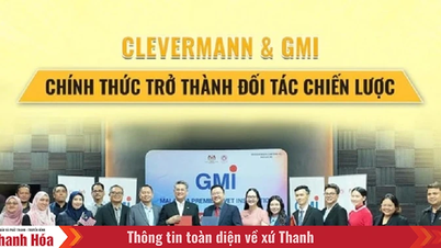 Clevermann & GMI resmi menjadi mitra strategis