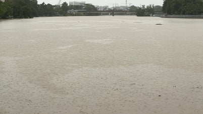 Peringatan tentang banjir di sungai-sungai di wilayah Kota Hue