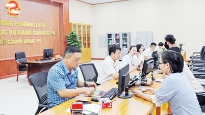 باك نينه: التحول الرقمي الشامل وبناء إدارة حديثة