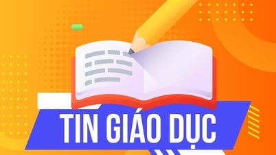 قامت مدرسة ابتدائية دولية في هانوي بتجنيد أكثر من 50 تلميذا في الصف الأول بطريقة غير قانونية.