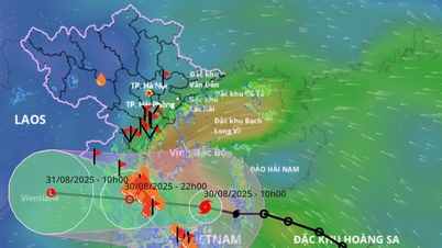 Badai No. 6 mendekati daratan, akan mencapai daratan pukul 7 malam ini di Ha Tinh - Quang Tri