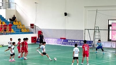 Dan Phuong Commune: 100 young athletes participate in the U11 Open Football Tournament