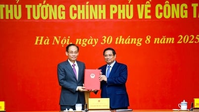 Perdana Menteri Pham Minh Chinh serahkan keputusan penunjukan penjabat Menteri Luar Negeri