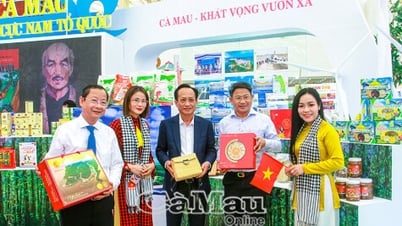 Hương vị đất Mũi giữa lòng Hà Nội