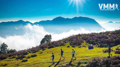 Discutiendo los planes para organizar el Maratón de Montaña de Vietnam 2025