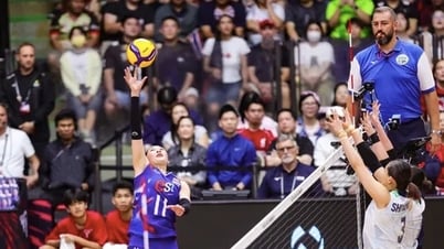 タイ女子バレーボールチームの夢は砕け散り、世界大会で日本に大敗