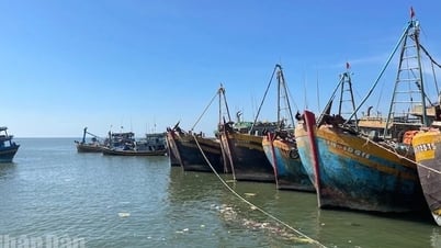 Lam Dong: Mais de 2.100 barcos de pesca têm registro vencido e...