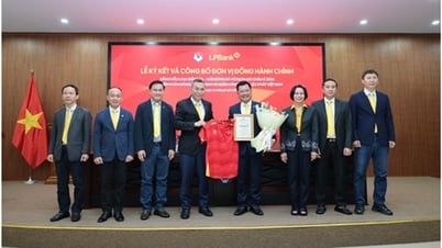 ធនាគារ Loc Phat (LPBank) ក្លាយជាអង្គភាពដៃគូដ៏សំខាន់នៃការប្រកួតជម្រុះ AFC U23 Championship 2026