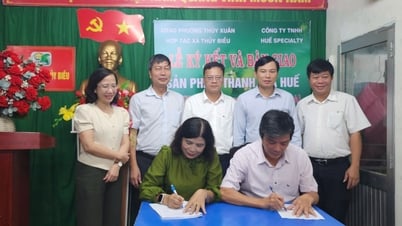 Ký kết đưa sản phẩm thanh trà Thủy Biều vào siêu thị