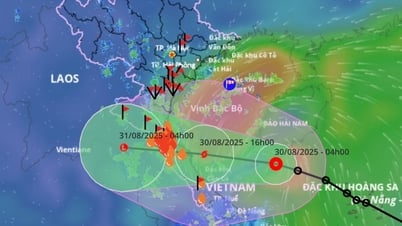 Taifun Nongfa nähert sich Land, Flugpläne werden angepasst