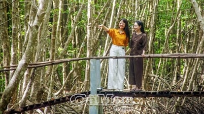 สร้างความพึงพอใจและความประทับใจให้กับนักท่องเที่ยวที่มาท่องเที่ยวเกาะก่าเมาช่วงวันหยุด 2 กันยายน