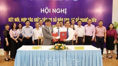 តភ្ជាប់ និងសហប្រតិបត្តិការរវាងស្ថាប័នបណ្តុះបណ្តាល និងកន្លែងស្រាវជ្រាវរបស់ខេត្ត Khanh Hoa