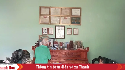 Pham Van Dinh - انقلابی سرگرمیوں کی زندگی