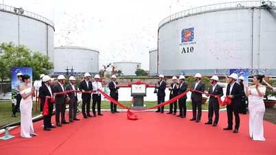 Petrolimex lanza Combustible de Aviación Sostenible (SAF) para celebrar el 70 aniversario del Grupo