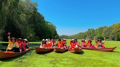 Велоспорт по воде – международная игра, несущая душу реки Донг Тхап Муой