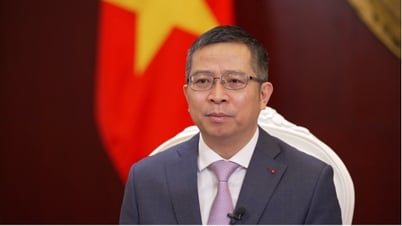 Conveying Vietnam's message at the largest summit in SCO history