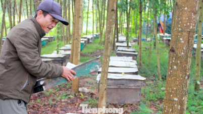 Rota de fuga da pobreza para pessoas em áreas montanhosas de Nghe An