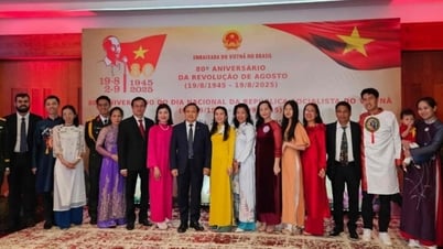 The Vietnamese Embassy in Brazil solemnly held the ceremony to celebrate the 80th anniversary of the August Revolution and National Day September 2nd.