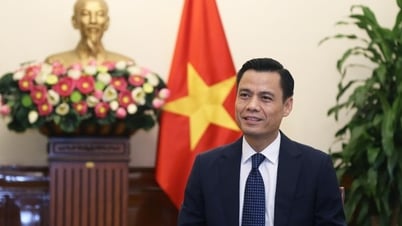 Vietnam-Kuba: Modell der internationalen Beziehungen