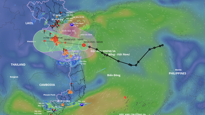 Depressão tropical se intensifica e se transforma em tempestade, 210 km de Ha Tinh a Quang Tri, chuva muito forte no continente