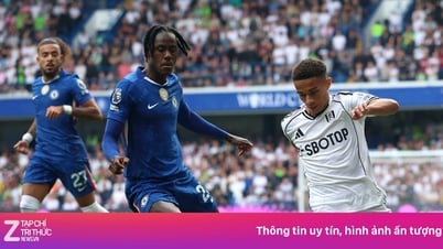 चेल्सी 0-0 फुलहम: घरेलू टीम को बड़ी हार का सामना करना पड़ा