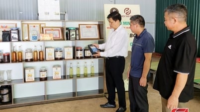 Sucesso ao vincular a produção de café ao longo da cadeia de valor
