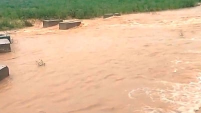 Ứng phó bão số 6 và mưa lũ: Quảng Trị rà soát, sơ tán người dân khỏi vùng nguy hiểm