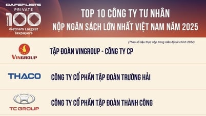 Tập đoàn Thành Công nằm trong Top 3 doanh nghiệp tư nhân nộp ngân sách lớn nhất Việt Nam năm 2025