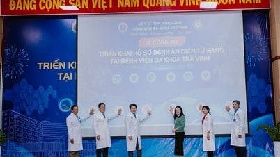 Advances in digital transformation of Vinh Long healthcare sector