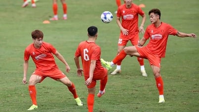 โค้ชคิมซังซิกเรียกฟานดูฮก