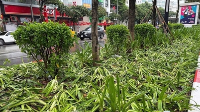 Cần thể hiện tình yêu nước một cách văn minh
