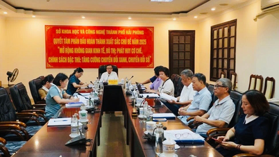 Support the management and development of the collective brand "Lien Khe Banana, Thuy Nguyen - Hai Phong" for banana products of Lien Khe commune, Thuy Nguyen district, Hai Phong city (now Luu Kiem ward, Hai Phong city)