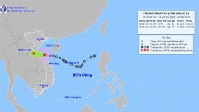 ข่าวพายุด่วน: พายุหมายเลข 6 ทำให้มีลมแรงระดับ 8 และลมกระโชกแรงระดับ 10-11