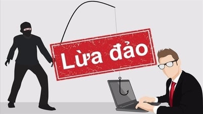 광응아이, 수십 건의 사이버 사기 사건 기록