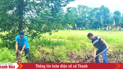 Membanteras perubahan iklim – satu tugas untuk semua orang.