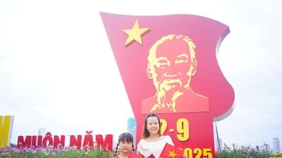 Da Nang est en effervescence pour célébrer le 80e anniversaire de la Révolution d'août et la Fête nationale le 2 septembre