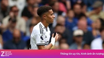 첼시 1-0 풀럼: 페드로가 선제골을 넣었다