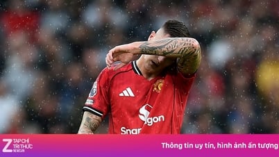Hai cú đánh đầu hỏng, Sesko bị nuốt chửng bởi áp lực