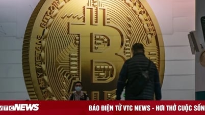 Tecnologia 31/08: Universidade de Hong Kong considera aceitar Bitcoin para pagar mensalidades