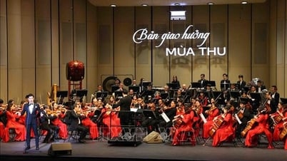 Специальная художественная программа «Осенняя симфония»