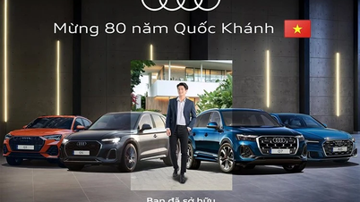 Новые Audi Q6 e-tron и A5 Sedan «прибывают» в дилерский центр Audi во Вьетнаме