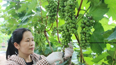 Petani di era teknologi