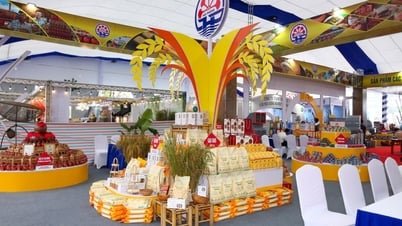 80年間の国家業績展示会でハイフォンのユニークな農産物が展示される