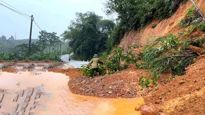 Ha Tinh : glissements de terrain sur les collines et les plantations de thé