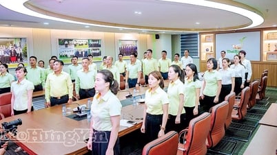 タイビンシードグループ合資会社における国旗敬礼式