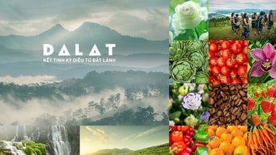 Masalah Merek dan Solusinya dari Kekayaan Intelektual